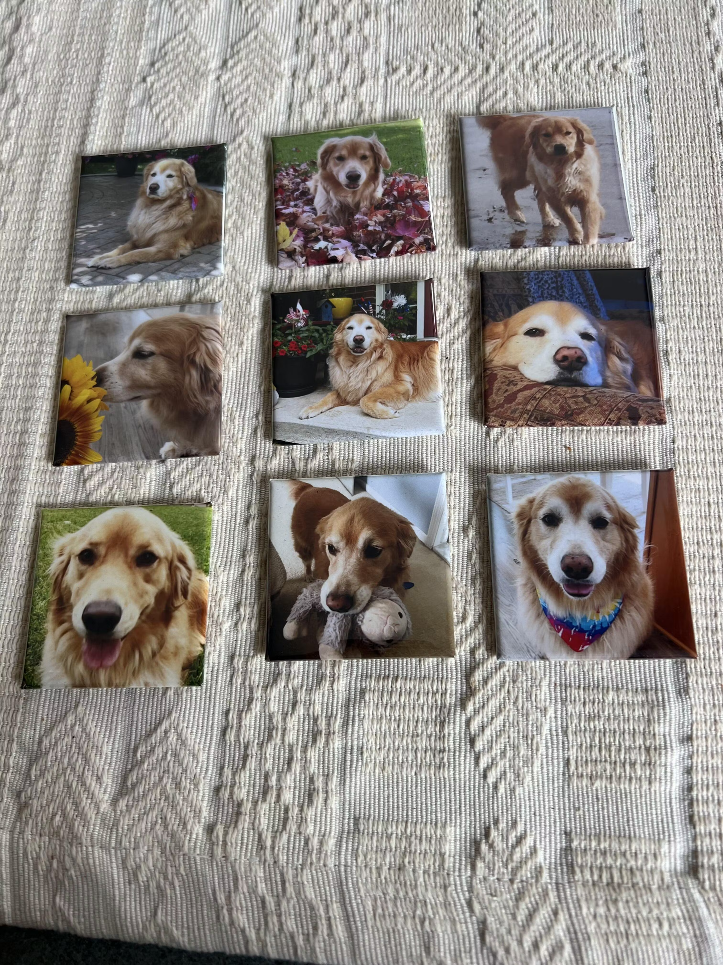 Custom Photo Magnets 2.5x2.5" | Build Your Personalized Set